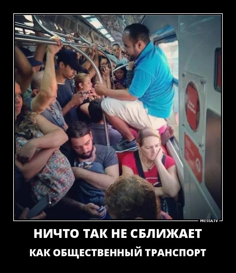 Круг забит людьми тысячи озабоченных текст