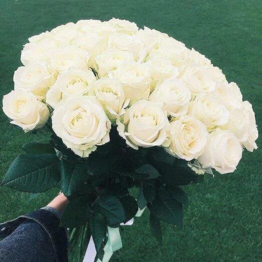Букет белых роз в руках. Девушка с белыми розами. Букет белых роз в руках мужчины. Парень с букетом из белых роз.