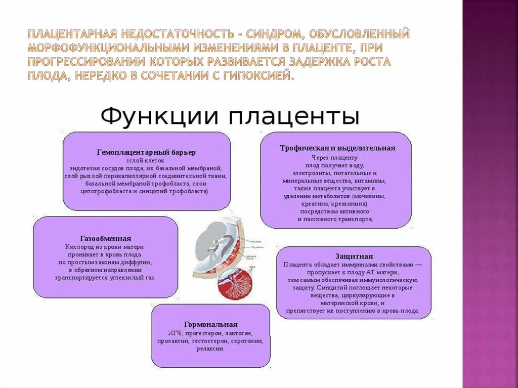 Плацента выполняет функции. Основные функции плаценты человека. перечислите основные функции плаценты. функции плаценты при беременности. трофическая функция плаценты.