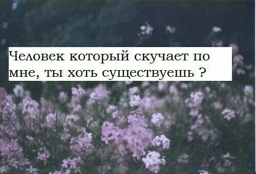 Существование хоть. Человек который скучает по мне ты хоть существуешь. мой человек ты хоть существуешь. мой человек ты хоть существуешь картинки.