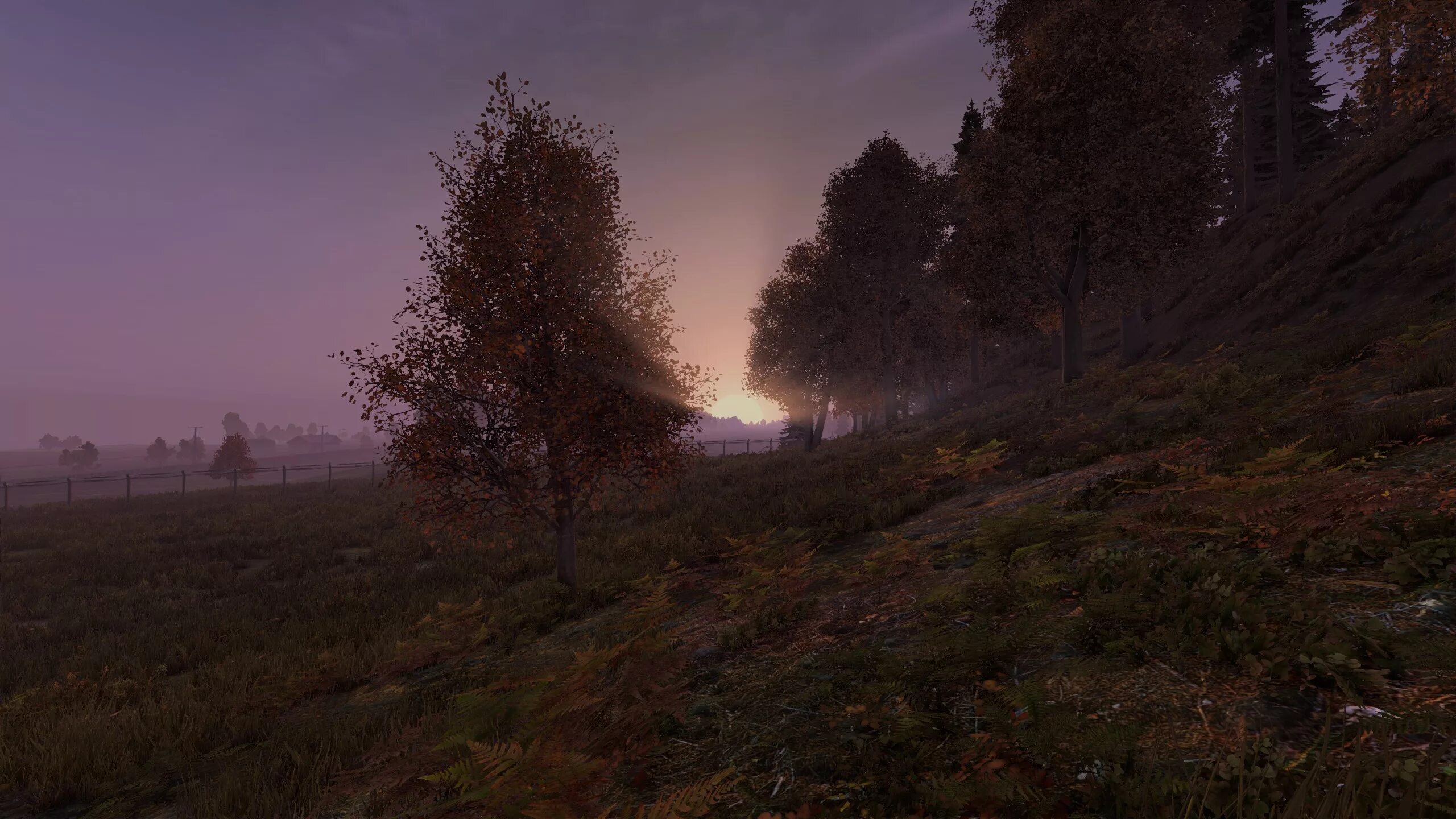 Вдали от жен dayz. Dayz 4r. лес dayz 4к. dayz арт 4k. скриншоты dayz 4k.