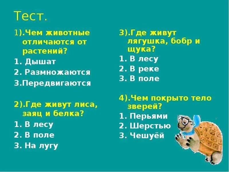 Окружающий мир 2 класс тесты животные. Как живут животные 1 класс тест. Контрольная работа животные. Как живут животные 1 класс школа России.