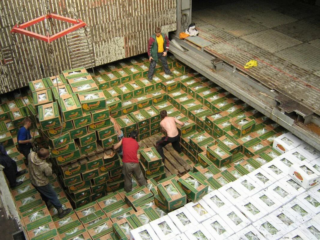 Шмидт энд шмидт. Шмидт энд шмидт. Schmidt bender 5-25x56 pm оптический прицел sxema. Отто юльевич шмидт портрет. Прицел smith bender 5-25x56.