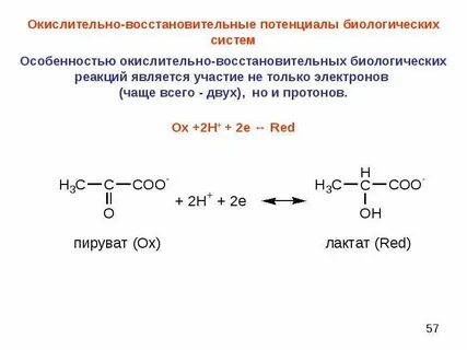 Система биологической реакции