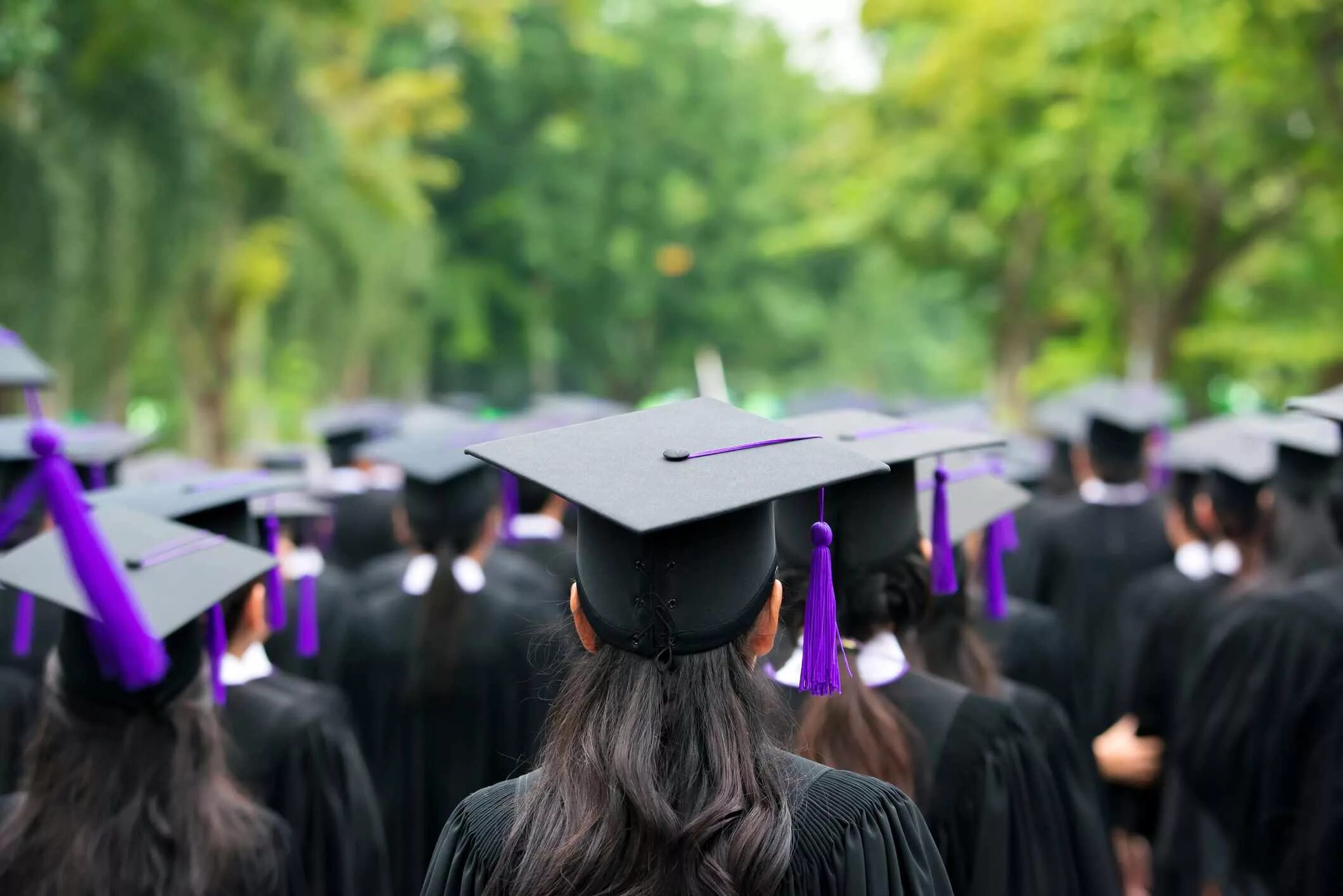 Undergraduate student. Выпускник вуза. Выпускники магистратуры. Выпускники университета. Выпускники американских школ.