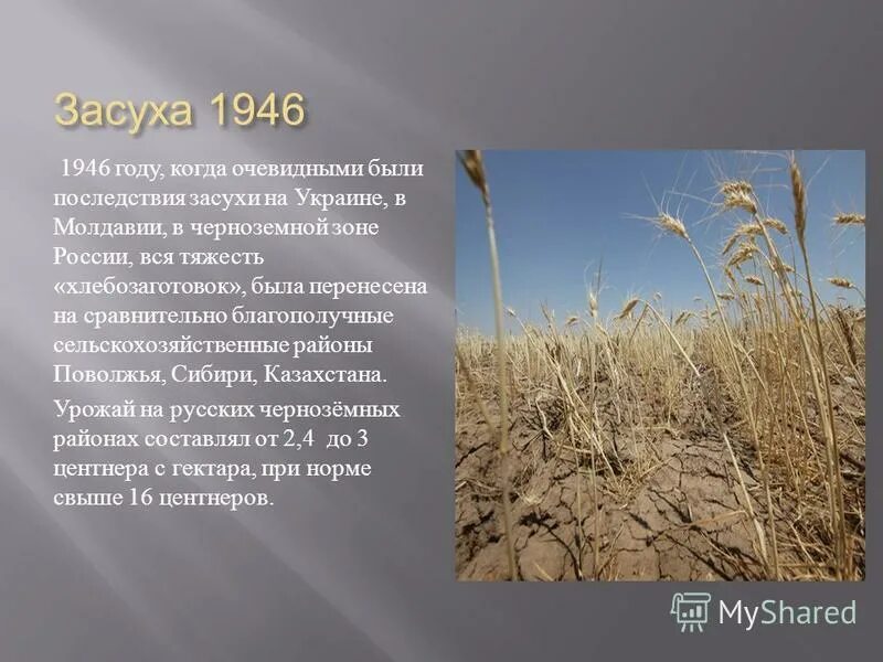 глобальное изменение климата. засуха где встречается. засуха. засуха 2010 года. засуха где встречается.