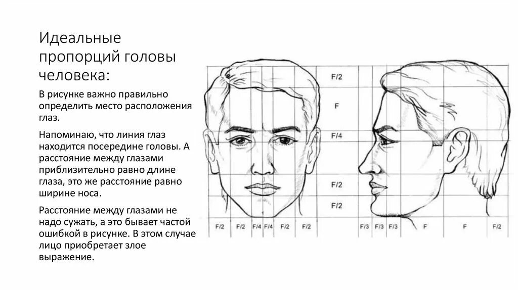 Пропорции лица человека ФАС профиль. Портрет (конструкция головы человека. Анфас, профиль). Пропорции человеческого лица схема. Пропорции портрета человека профиль.