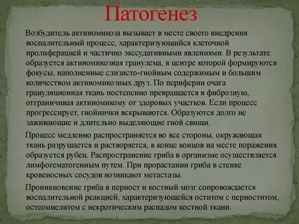 Возбудитель лиц