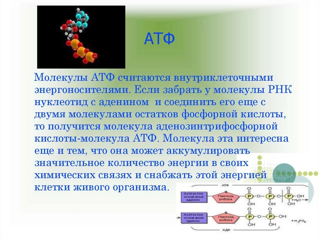 Функции атф