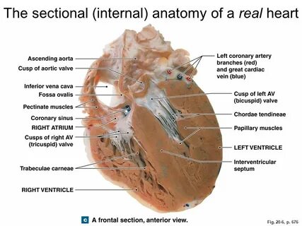 Help section