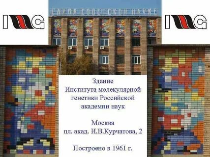 Институт молекулярный