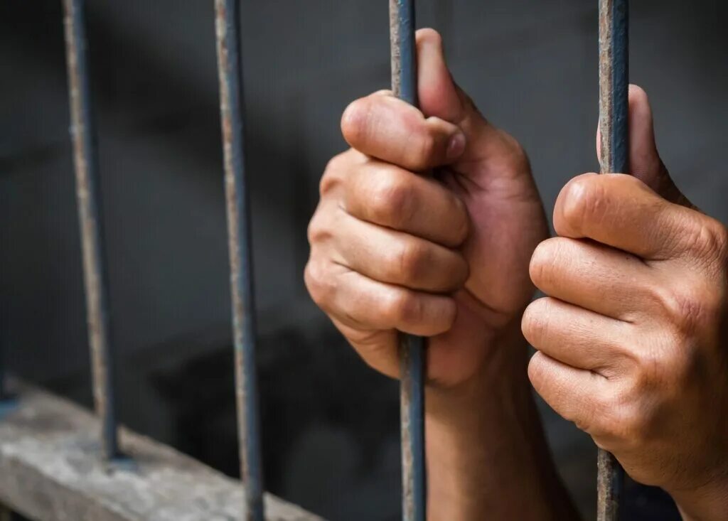 Борьба с осуждением. Критика со стороны коллеги. Пресечение. Борьба с осуждением. За решеткой.