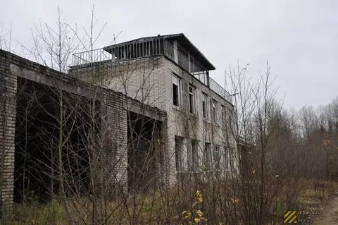 Городок ленинградская область