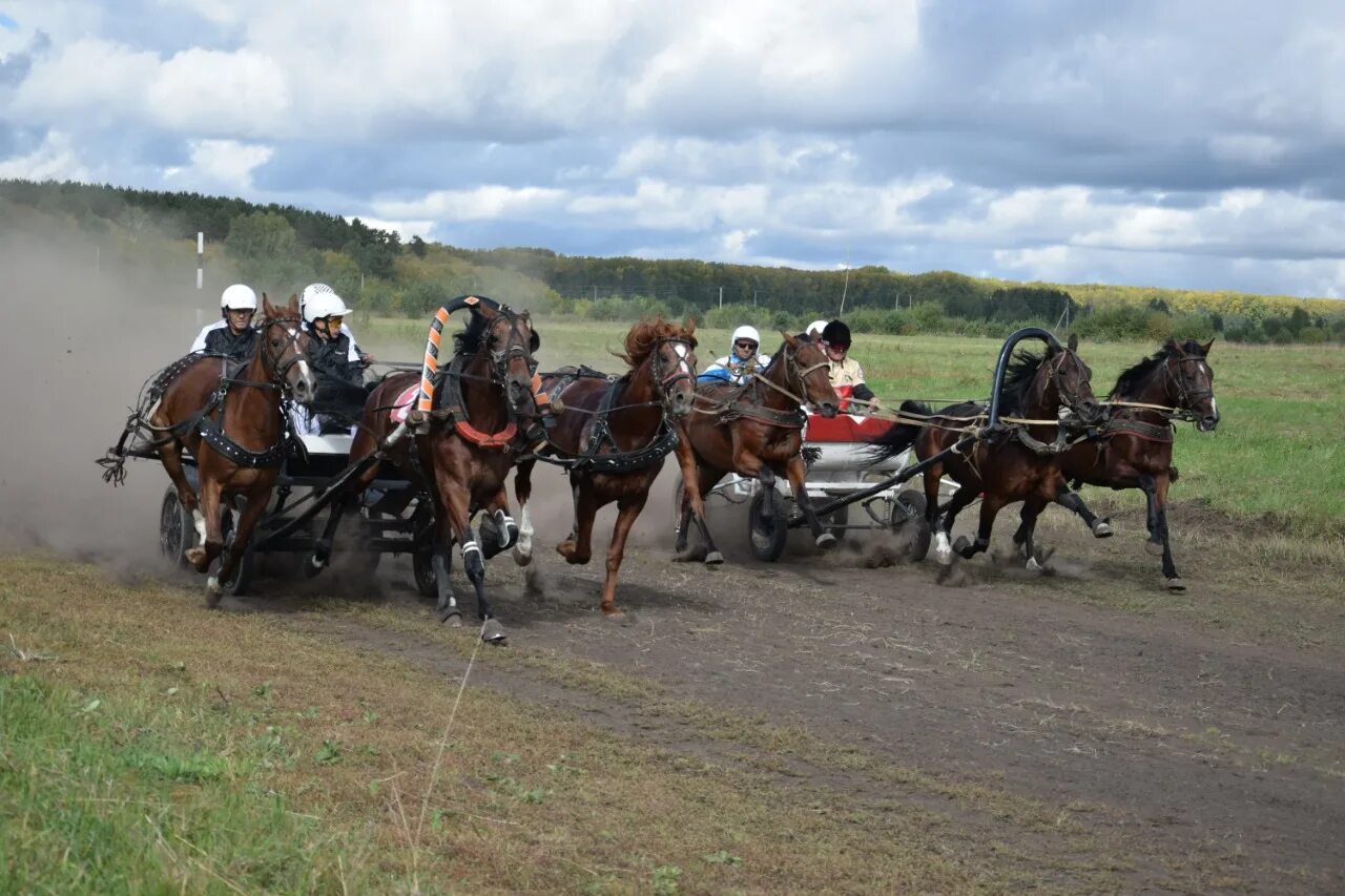 с. лошади черепановского района. карта черепановского района. черепаново черепановский район новосибирская область. безменово черепановский район.
