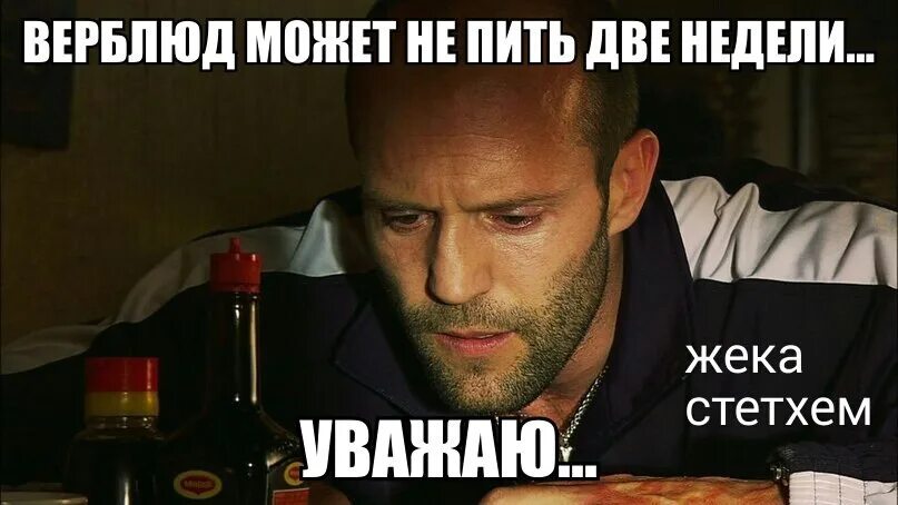 Цитаты со стетхемом. Стетхем с днём рождения жека. пацанские цитаты про пивко стетхем. я вам запрещаю списывать стетхем. стетхем цитаты про отношения угар.