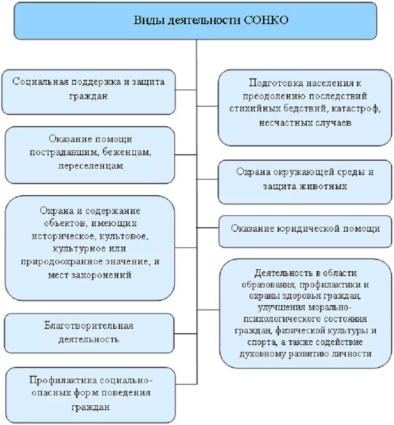 1 сонко 2023. Социально ориентированные некоммерческие организации виды. Виды деятельности НКО. Социальная деятельность НКО. Виды деятельности СОНКО.