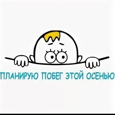 Никакой не планирую. Планирую побег этой осенью. планирую побег. планирую побег этой осенью мальчик. скоро планирую побег.