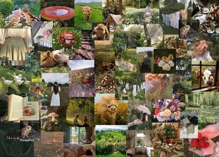 Эстетики кор