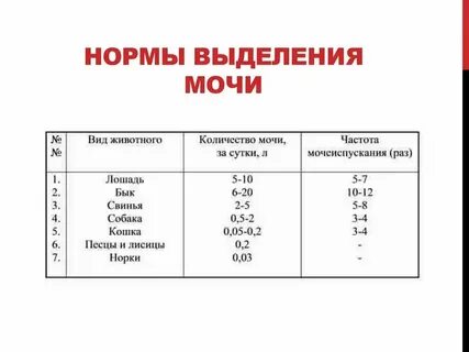 Можно выделить также основные