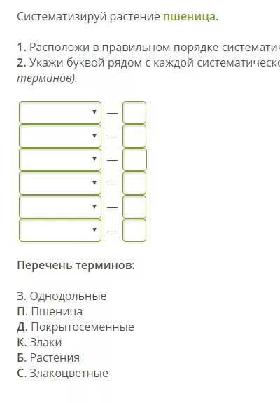 Расположите в правильном порядке уровни систем. Расположи в правильном порядке систематические группы растений. расположите в правильном порядке систематические группы растений. правильный порядок систематических групп растений. систематические группы растений начиная с наибольшей.