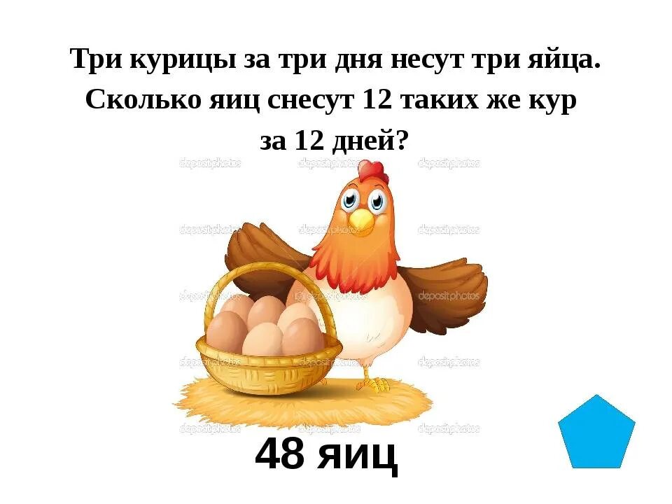 Несушки сколько яиц в день. Сколько яиц несет курица. Сколько яиц несет курица в день. Скольео курица несёт яиц. Сколько яиц несет курица Несушка.