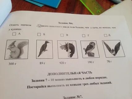 Отметьте животных