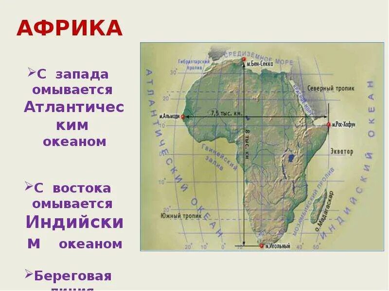 Выявите особенности географического положения африки. Выявите особенности географического положения африки