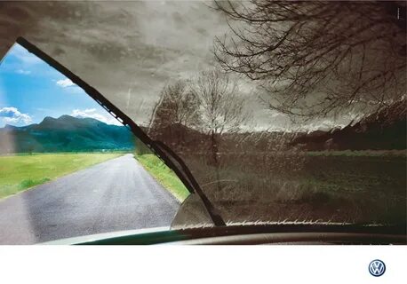 Windshield