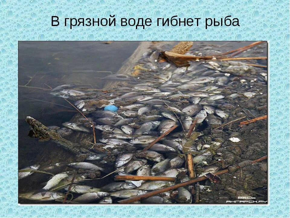 Загрязнение воды рыбы. Загрязнение водоемов для рыб. Картинки на тему загрязнение воды. Рыбы в загрязненной воде. Рыба в грязной воде