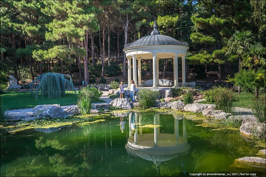 Курортные сады. Курортные сады. Японский сад мрия. Плакучий кедр парк айвазовского. Парк айвазовского в крыму.