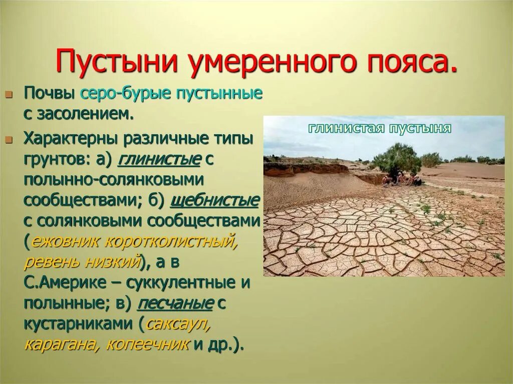 Почвы пустынь и полупустынь умеренного пояса. Почва пустыни. Полупустыни и пустыни почвы. Тип почв пустынь. Пустыни почвы плодородие