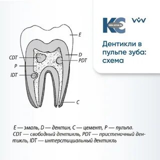 Определитель состояния пульпы
