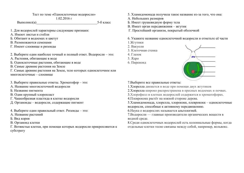 Тест водоросли 6 класс биология