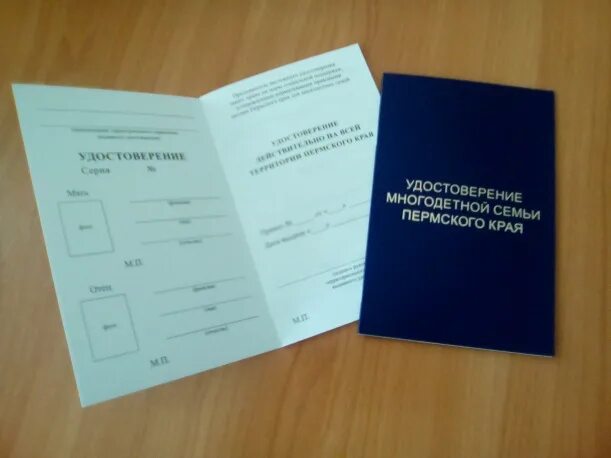 Присвоение многодетного статуса. Документ о многодетности. Документ многодетной семьи.