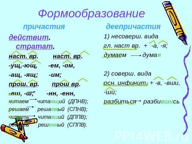 Формообразование слов в русском языке это. Формообразование слов в русском языке. Образование формы слова правила. Формообразование имен существ. Формообразование слов в русском языке это.