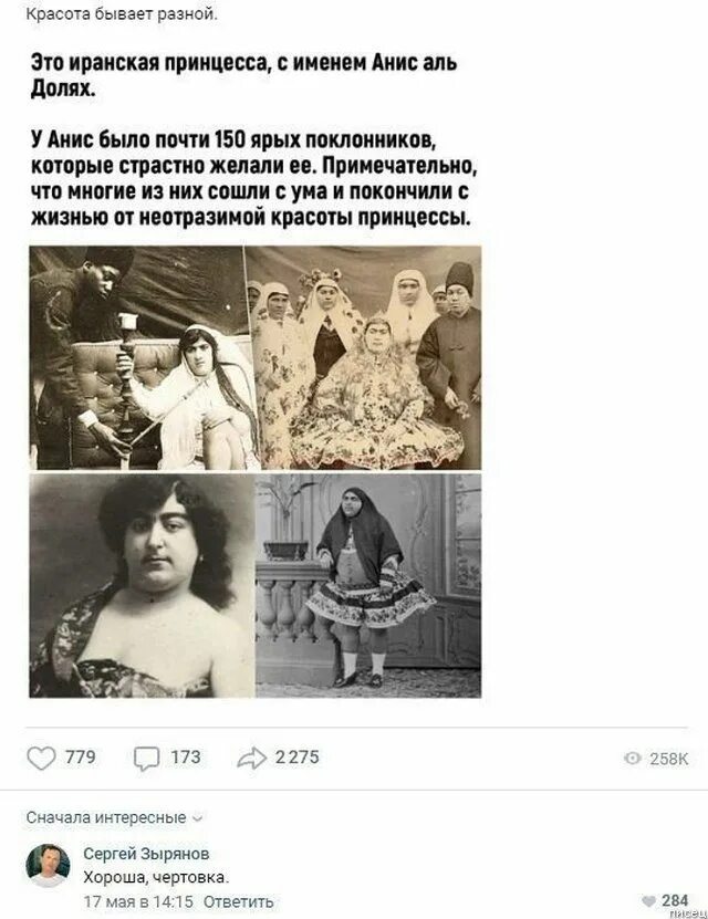 Иранская принцесса анис Аль. Анис Аль долях принцесса настоящее. Принцесса анис Аль долях фото. Принцесса анис аль долях биография