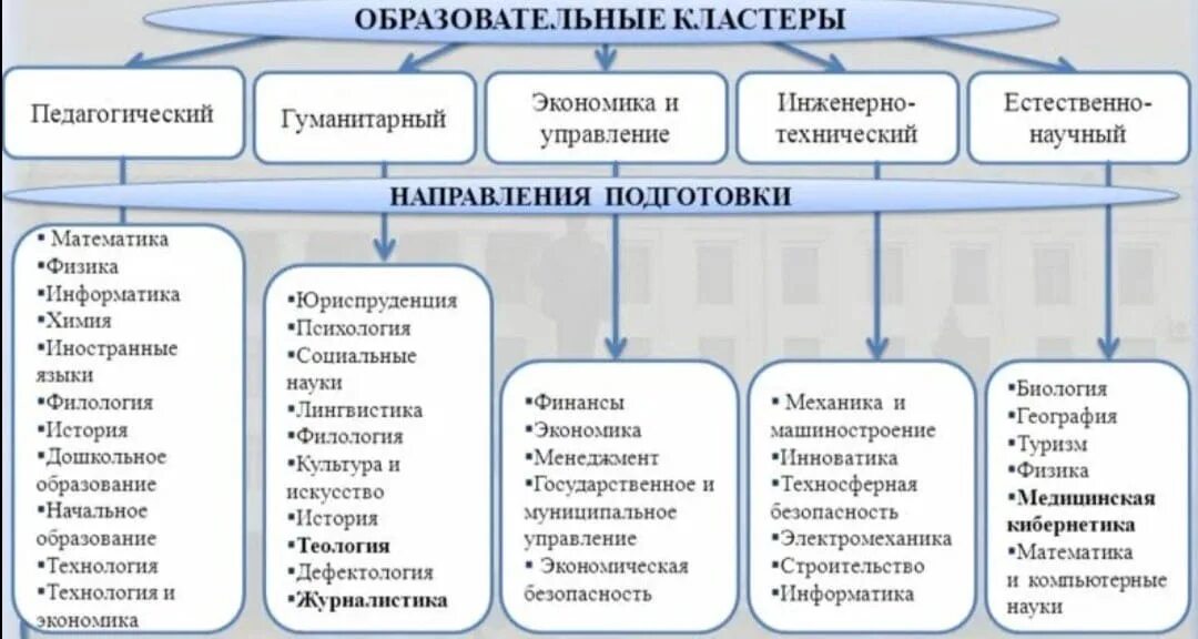 Химия направление бакалавриат. Бакалавриат магистратура аспирантура. Уровень образования магистратура. Стадии образования бакалавриат. Направления высшего образования в РФ.