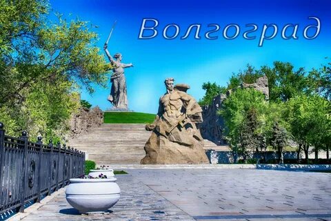 Сталь город волгоград
