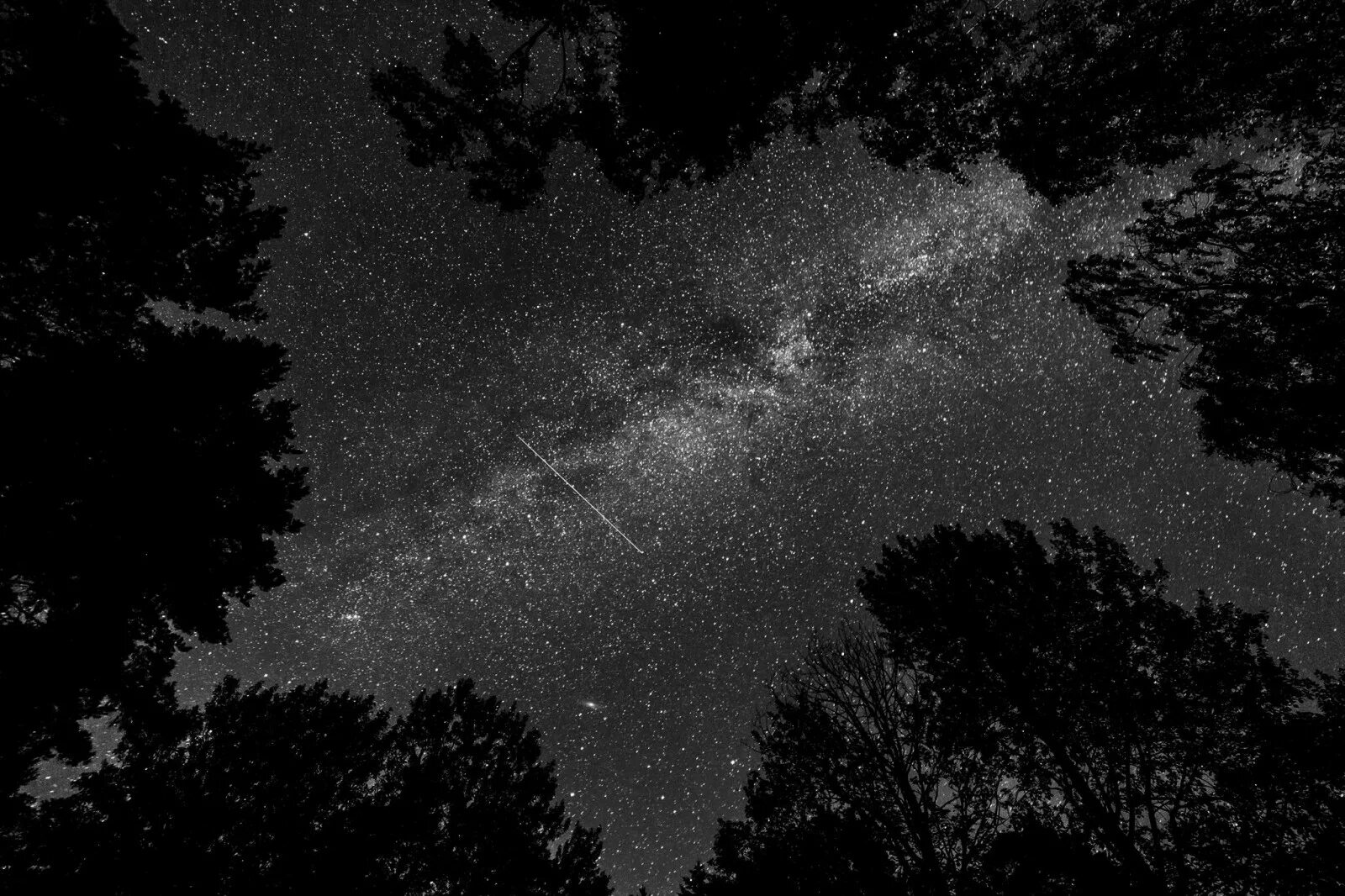 Ночное небо. Звездное небо черное. Звездное небо черно белое. Серое ночное небо.