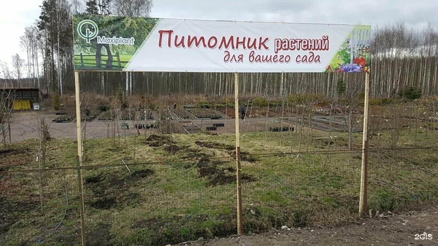 Питомник цветы башкирии. Белоостровский питомник растений, посёлок белоостров. питомник растений в белоострове спб. путиловский сад питомник растений. осеево садовый центр питомник растений.