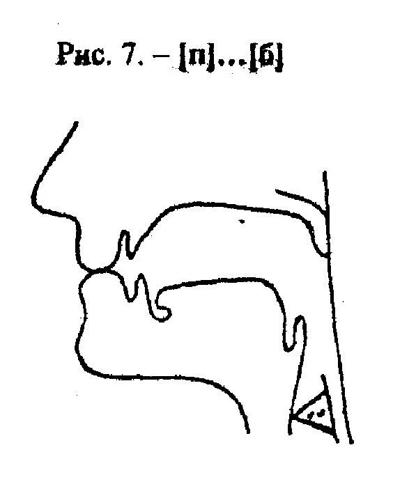 Артикуляционный уклад звука м. Профиль артикуляции звука л. Артикуляция звука п. Артикуляционный уклад звука б. Артикуляция г