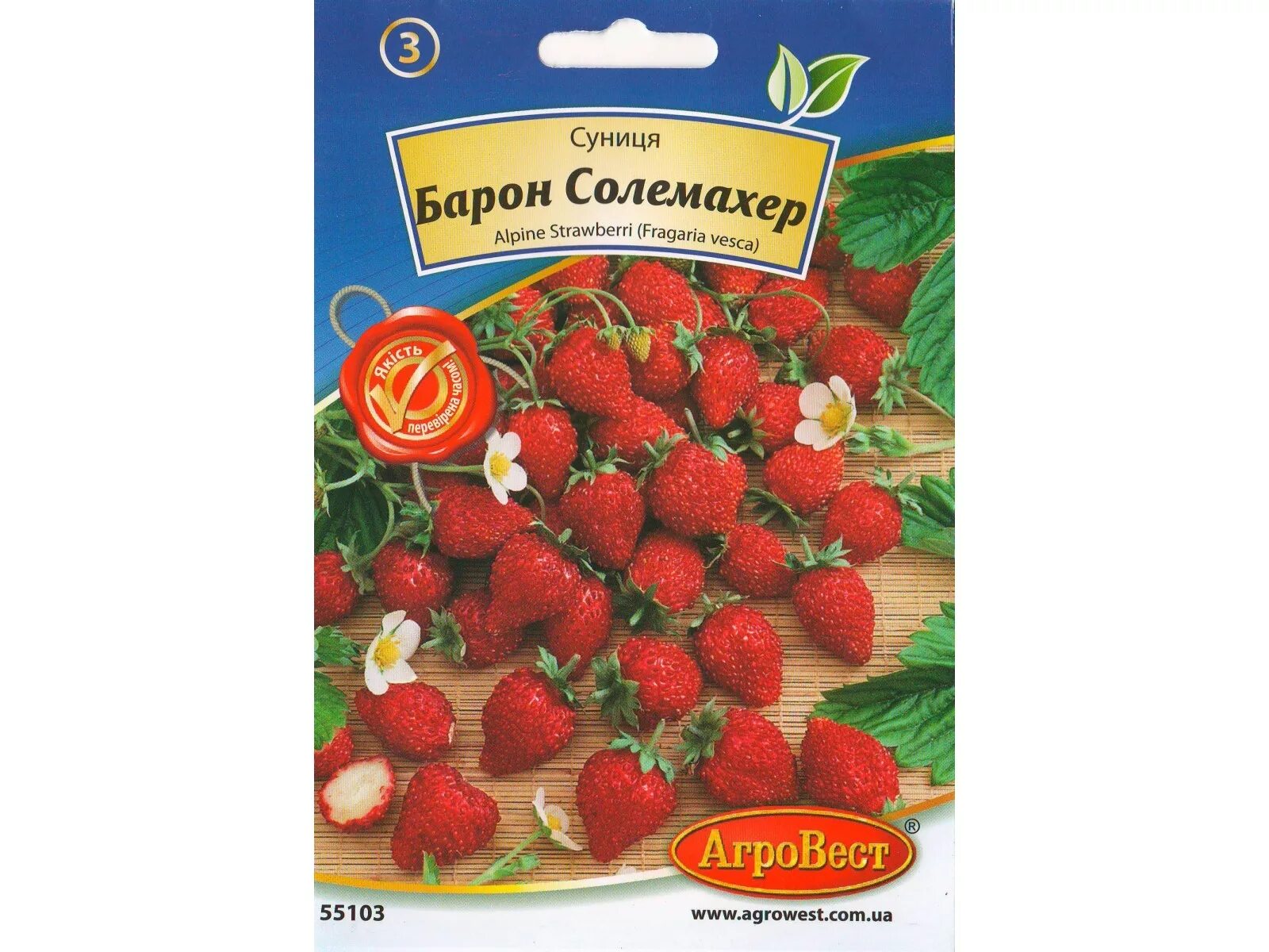 Земляника барон солемахер. Сорт барон солемахер. Сорт земляники барон солемахер. Земляника садовая барон солемахер. Земляника садовая барон солемахер.