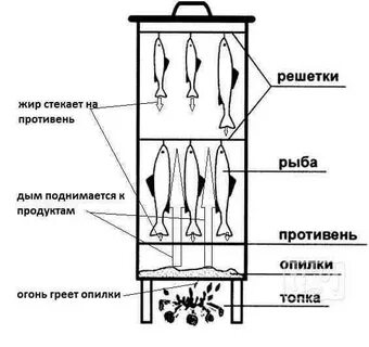 Коптильня холодного копчения схема с размерами