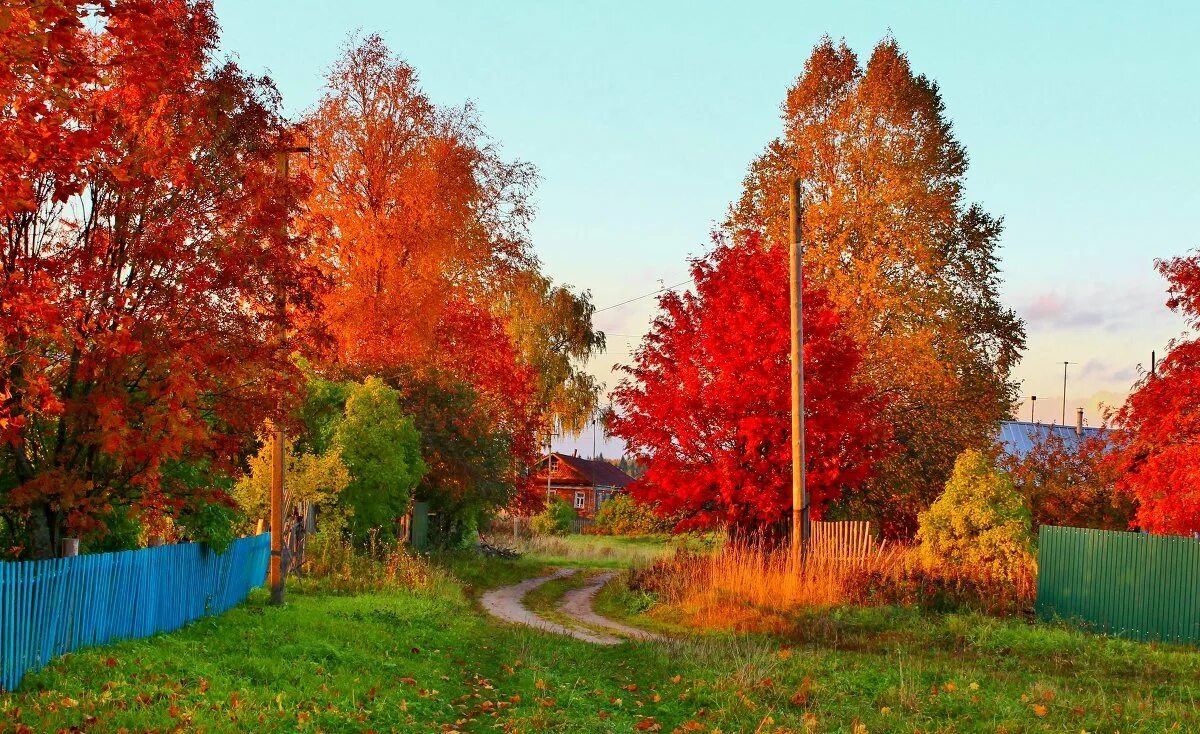 Золотая осень Вологодская деревня. Осень в деревне. Краски осени. Красивая осень в деревне.