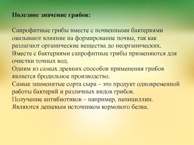 Грибы по сравнению с бактериями имеют. Значение грибов полезные бактерии. Полезное значение. Грибы по сравнению с бактериями