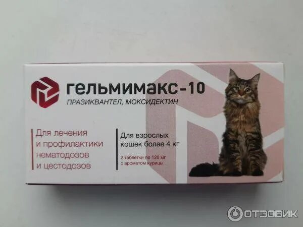 Гельмимакс для кошек инструкция. Гельмимакс-4. гельмимакс таблетки для котят. гельмимакс для кошек таблетка. гельмимакс 4 для кошки от глистов.