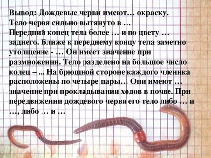 Цвет тела червя