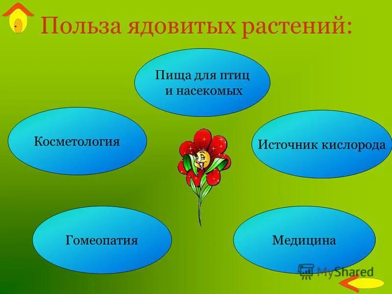 польза растений. ландыш майский ядовитое растение описание. лекарственные и ядовитые травы. польза ядовитых растений. бузина чёрная ядовитые части.