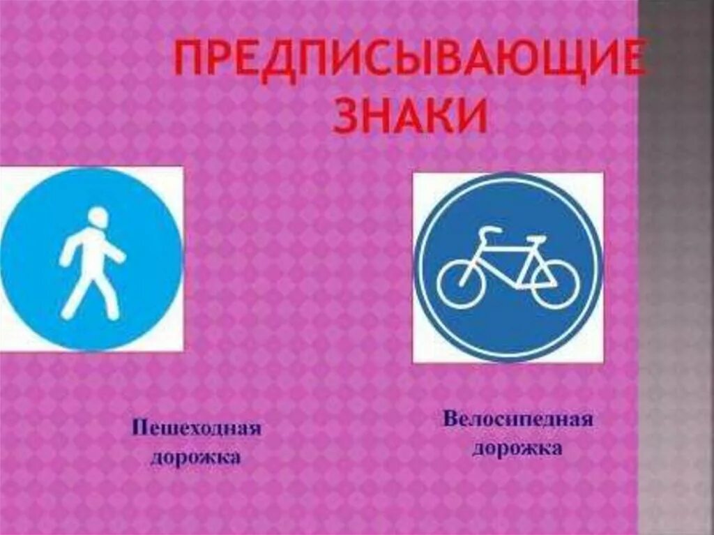Информационно предписывающая функция