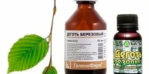 Березовый экстракт